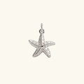 Charm Silver  - new starfish