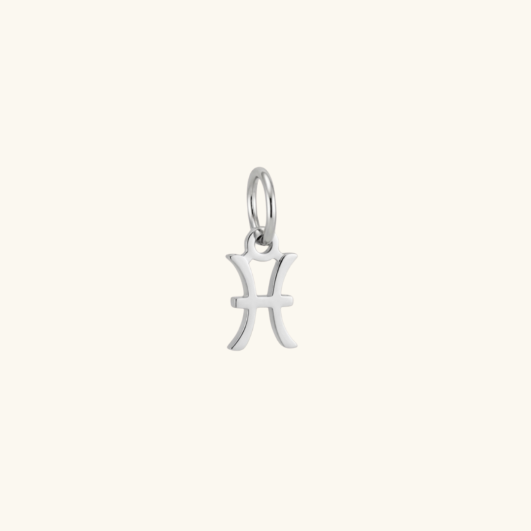 Charms Silver- Zodiac Signs