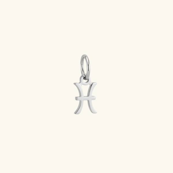 Charms Silver- Zodiac Signs