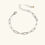 Charm Bracelet: Link Bracelet