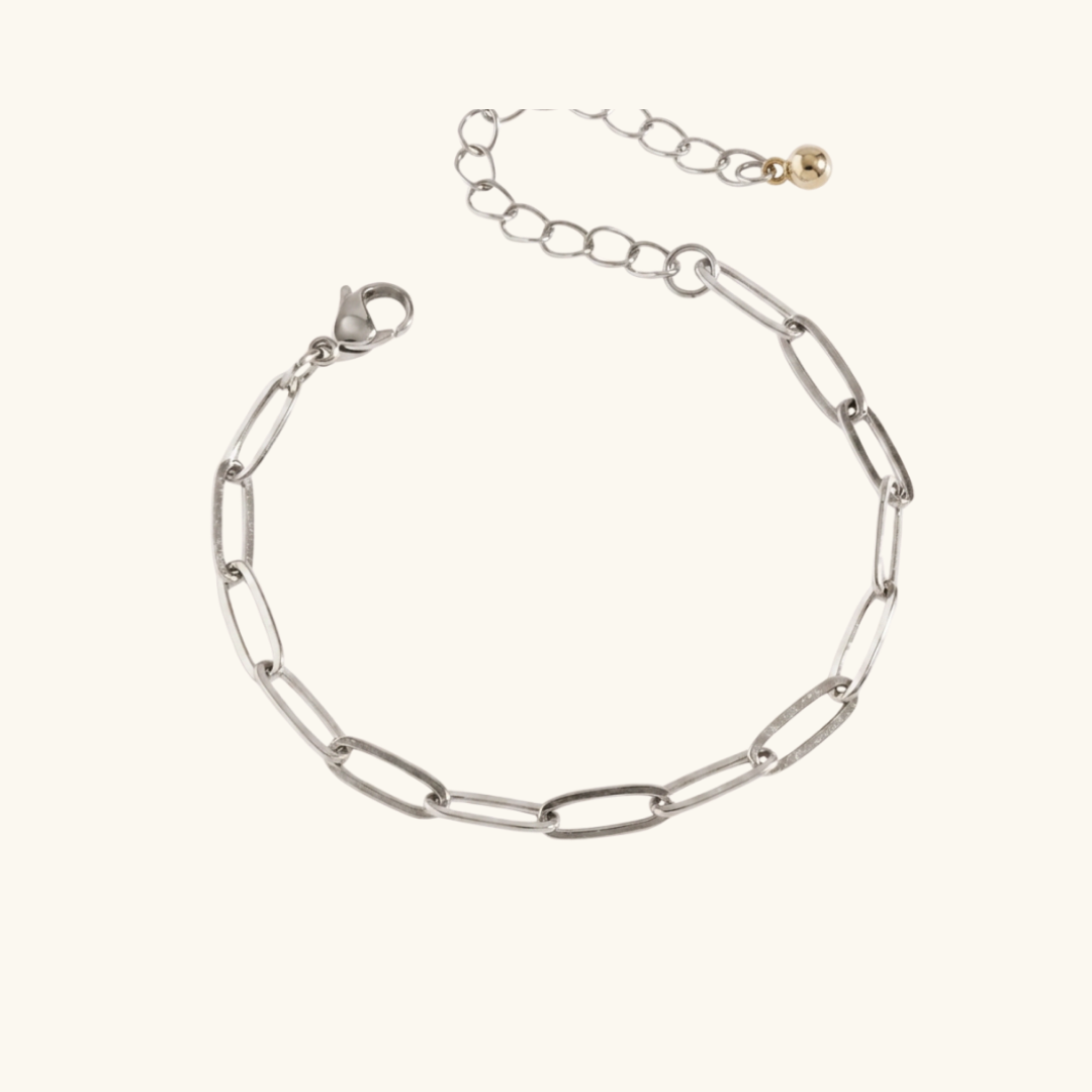 Charm Bracelet: Link Bracelet