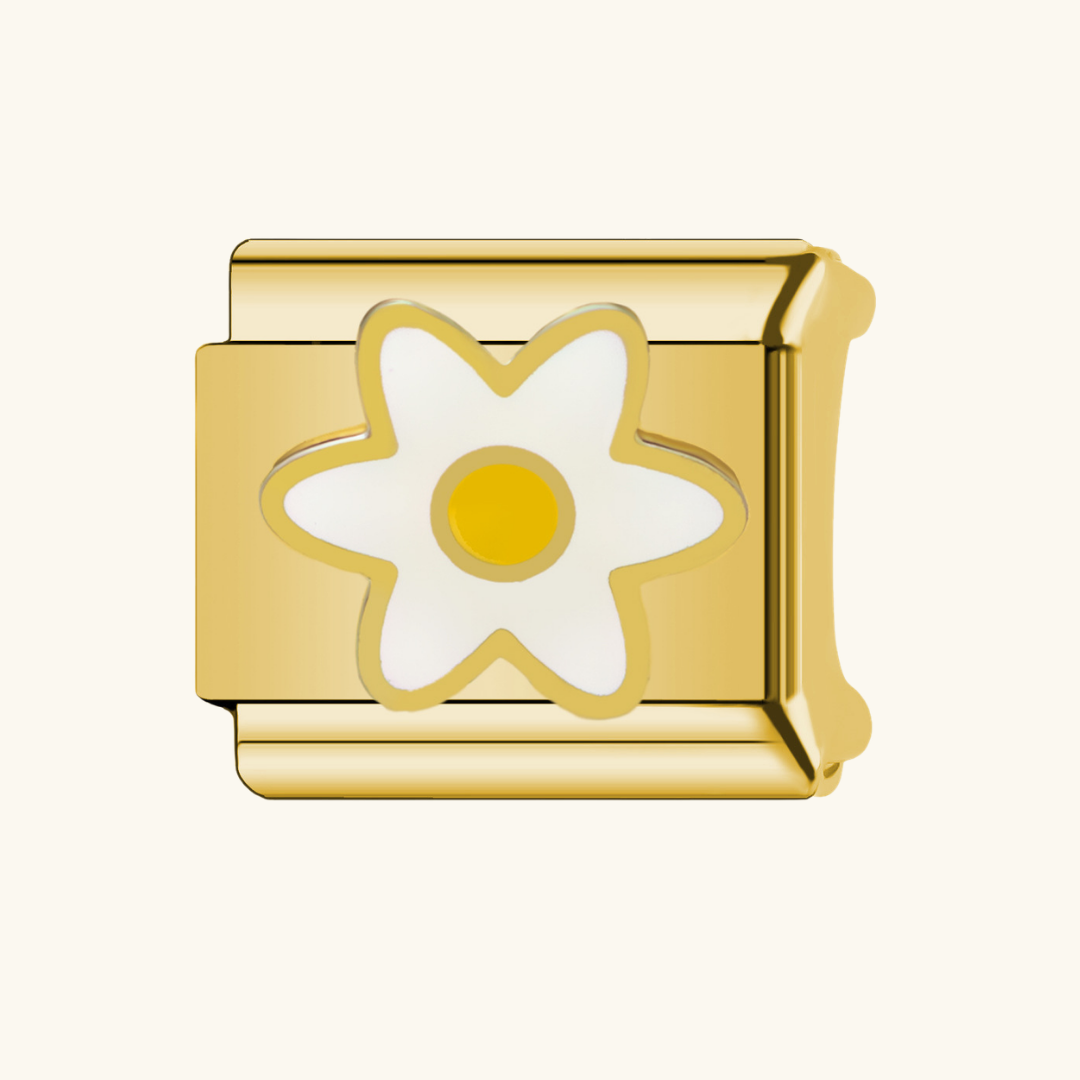 Italian-White Daisy