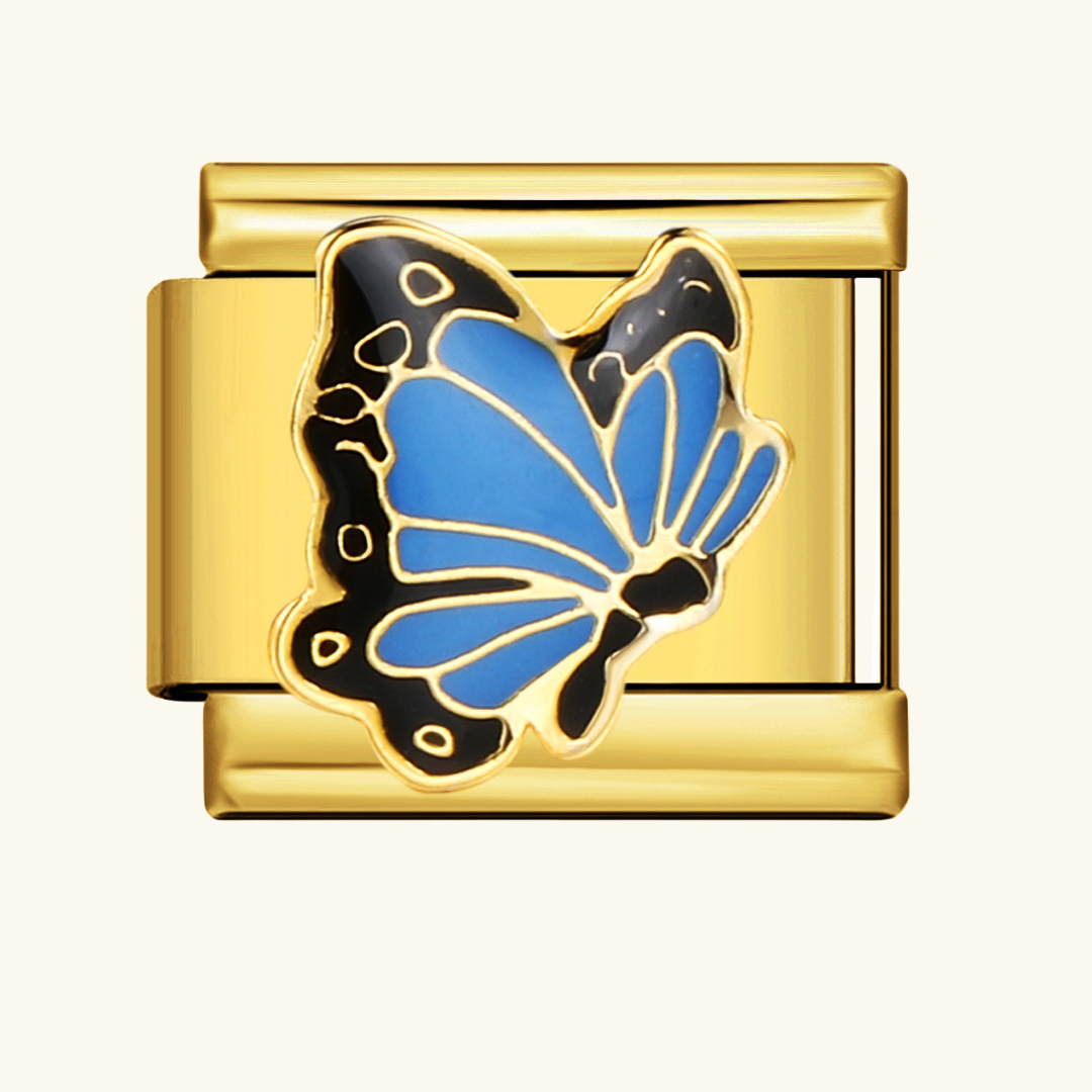 Italian-Blue Butterfly