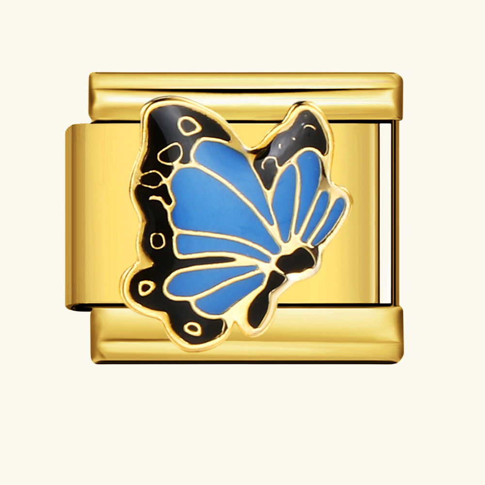 Italian-Blue Butterfly