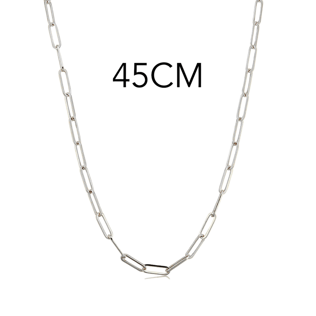 Charm: Link Up Necklace Silver