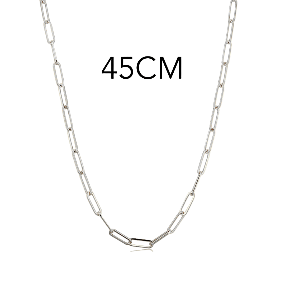 Charm: Link Up Necklace Silver