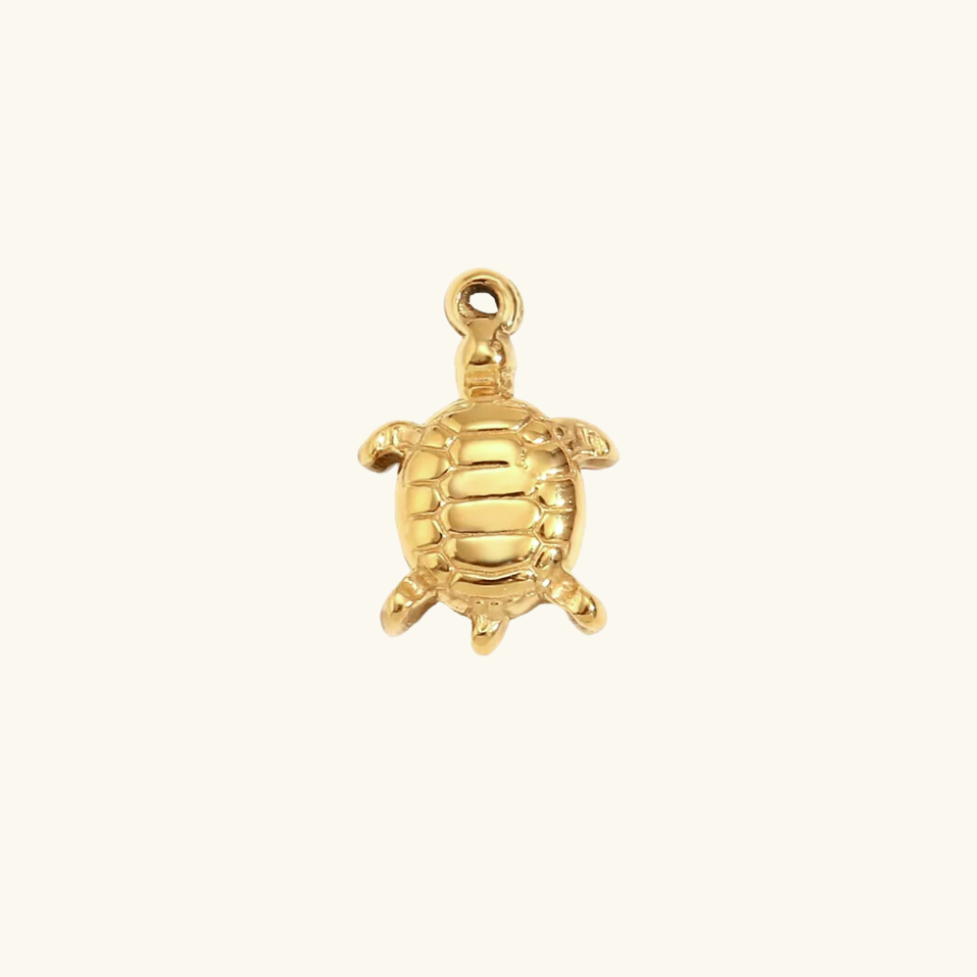 Charm - turtle