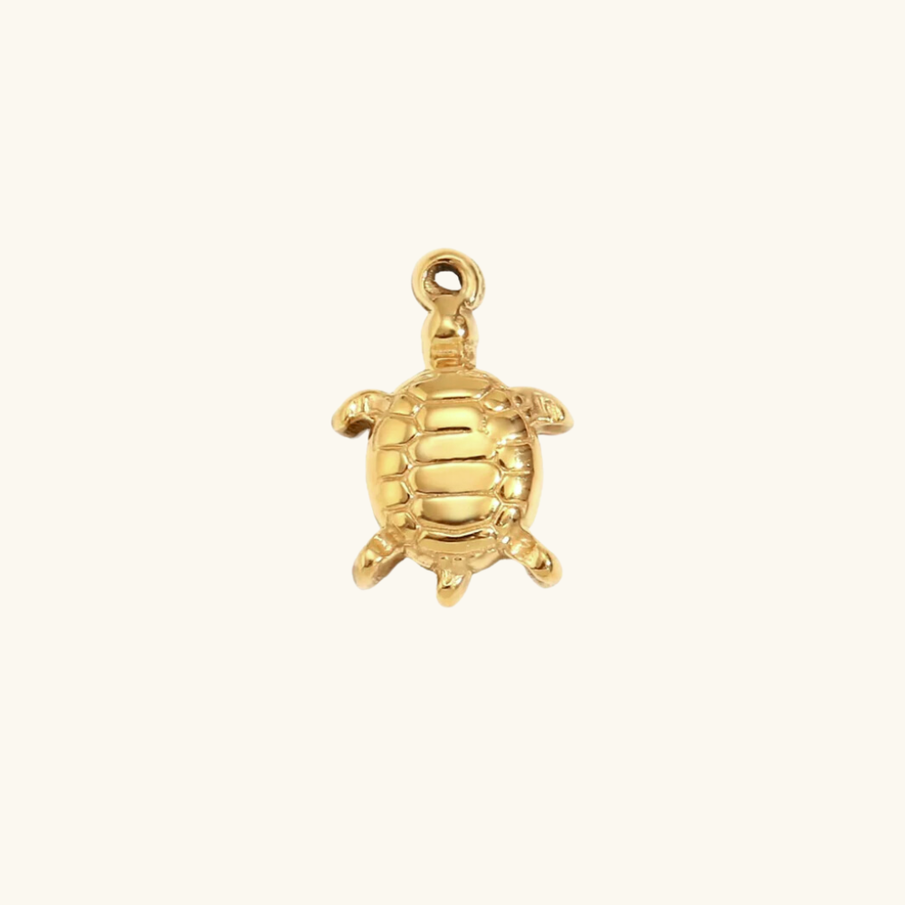 Charm - turtle