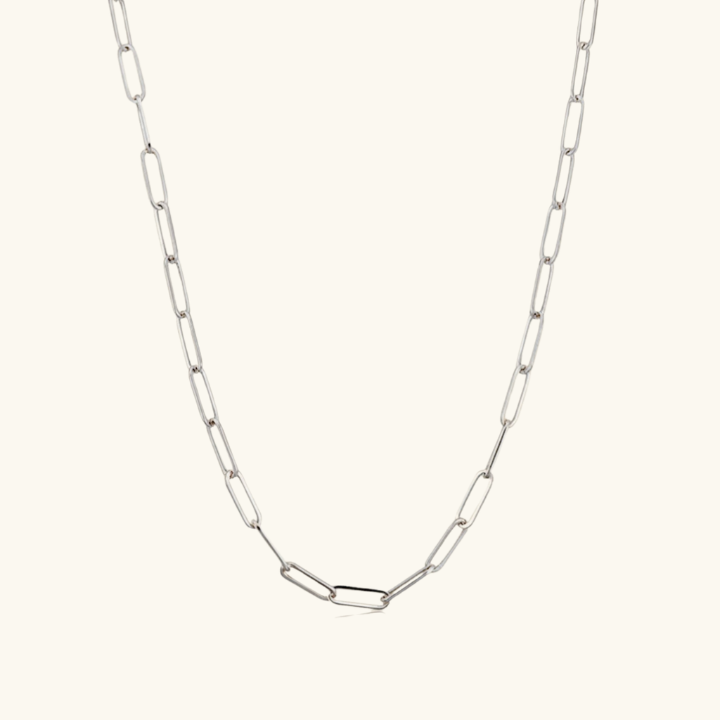 Charm: Link Up Necklace Silver