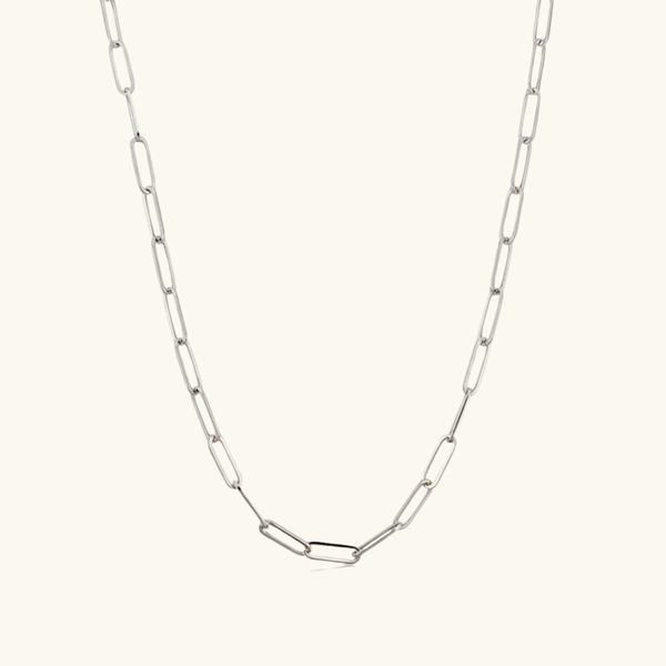 Charm: Link Up Necklace Silver