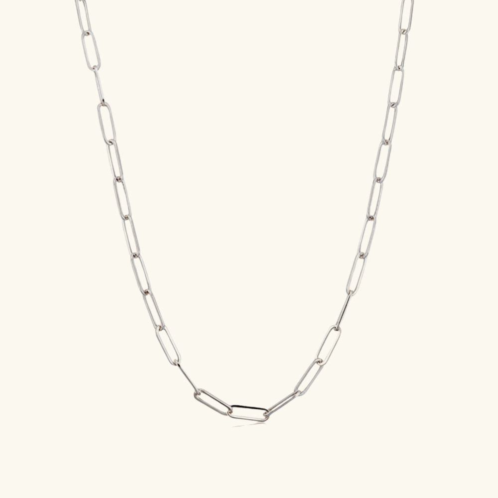 Charm: Link Up Necklace Silver