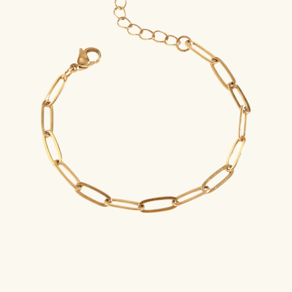 Charm Bracelet: Link Bracelet