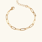 Charm Bracelet: Link Bracelet