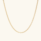 Charm Chain: Coin Necklace