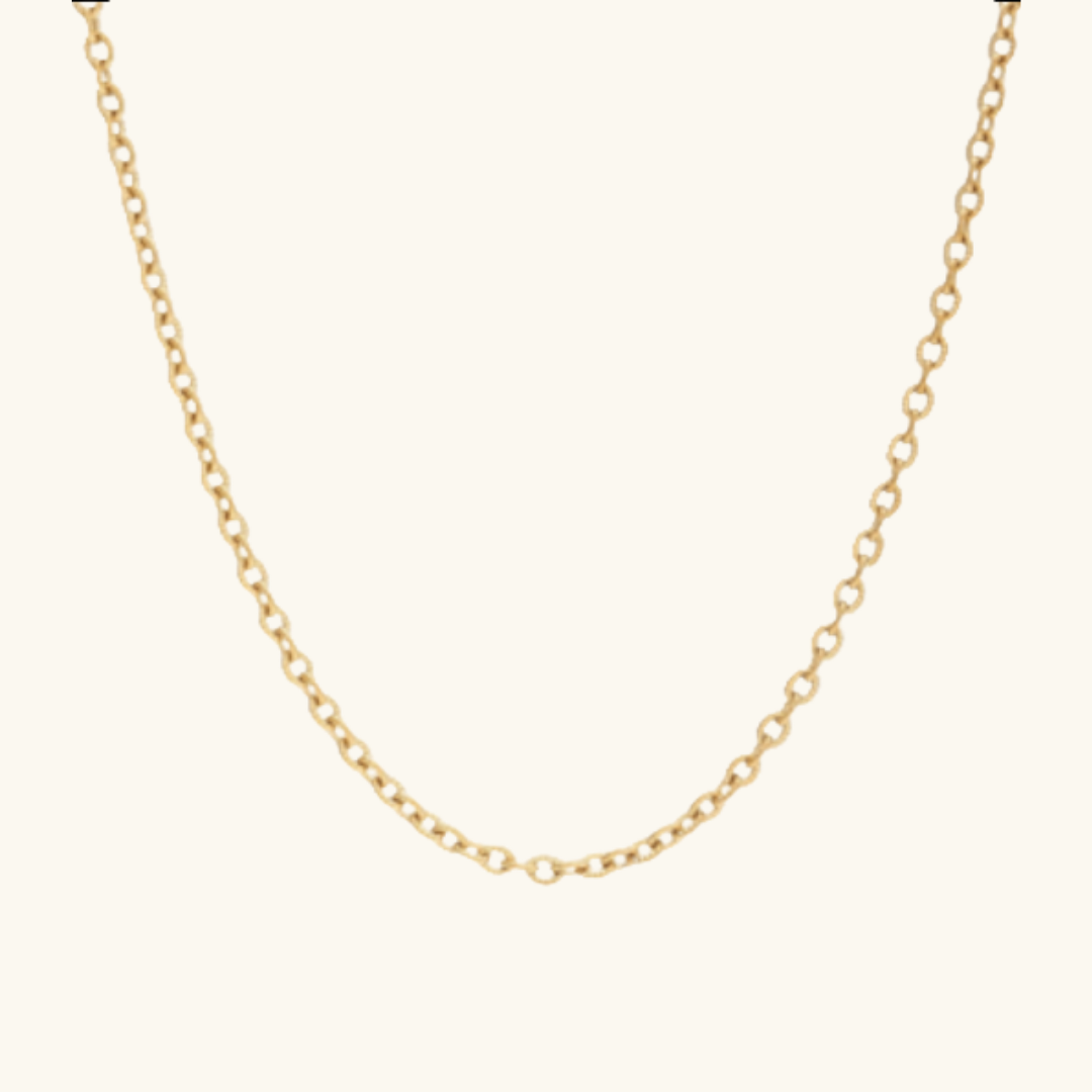 Charm Chain: Coin Necklace