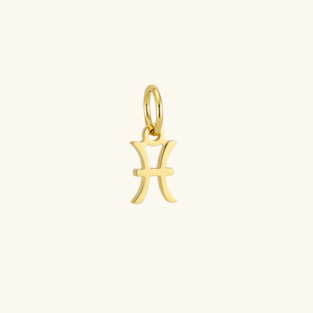 Charms- Zodiac Signs