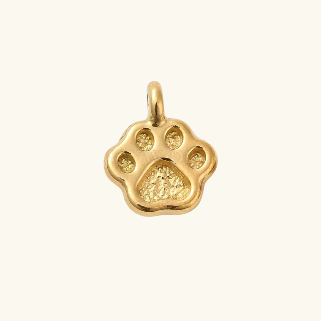 Charm - paw
