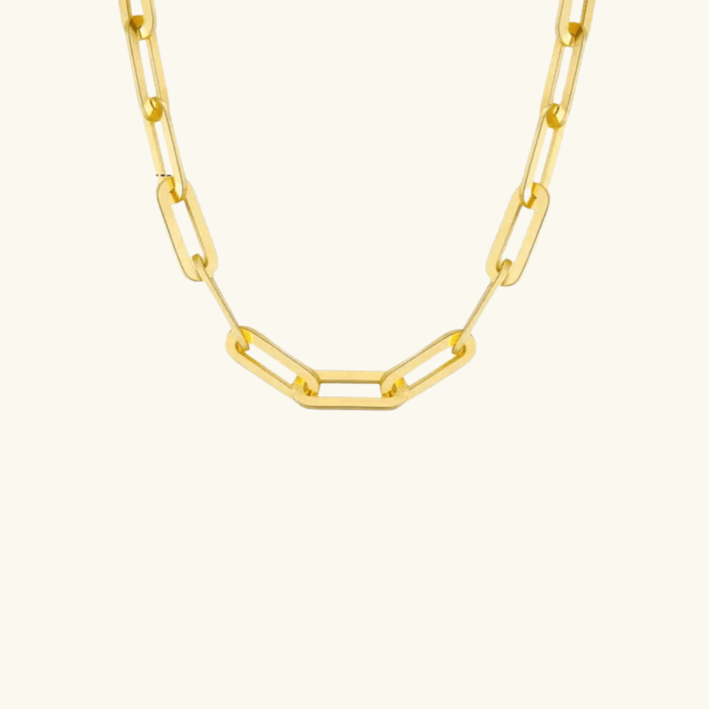 Link Up Necklace